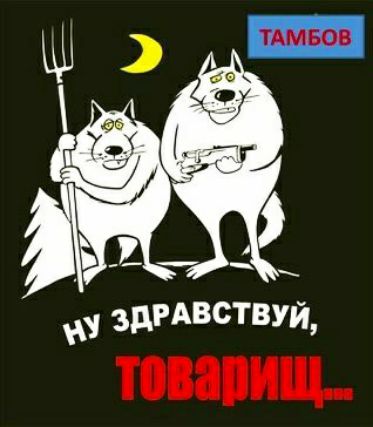 Ш здгдвствуй