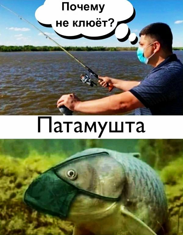ча д Патамушта О _ Почему не клюёт 1