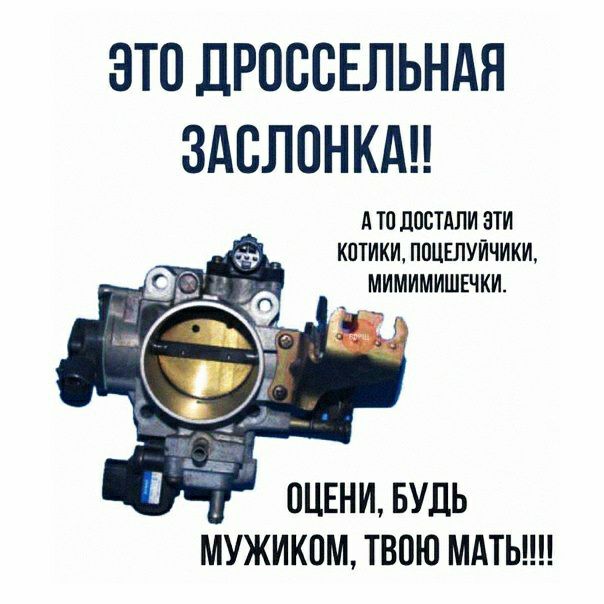 ЭТО ДРОССЕЛЬНАЯ ЗАВЛОНКАИ А Ю ЛПСТАЛИ ЭТИ КПТИКИ ППЦЕЛУИЧИКИ МИМИМИШЕЧКИ ОЦЕНИ БУДЬ ИУЖИКПМ ТВОЮ МАТЬ