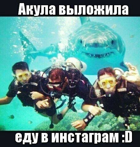 ШШШ выложила Еду В ііНіПаПШМ і