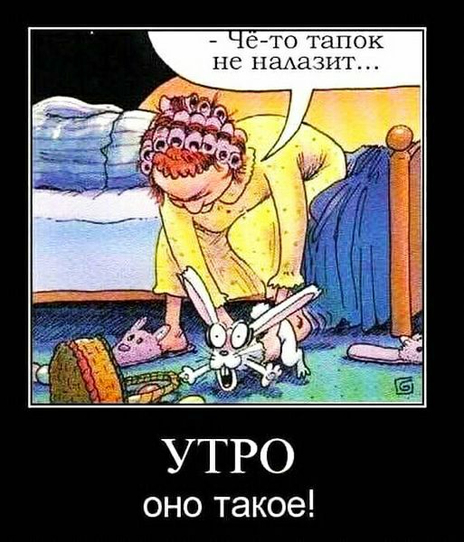 ето тапок НЕ 1хаАа3ит УТРО оно такое