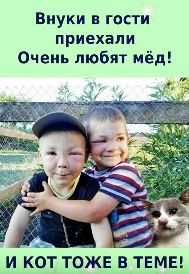 Внуки в гости приехали Очень любят мёд И КОТ ТОЖЕ В ТЕМЕ