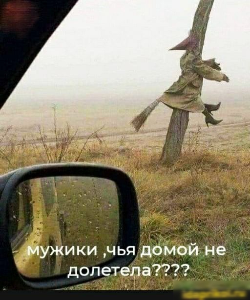 мужики чья домой не долетела