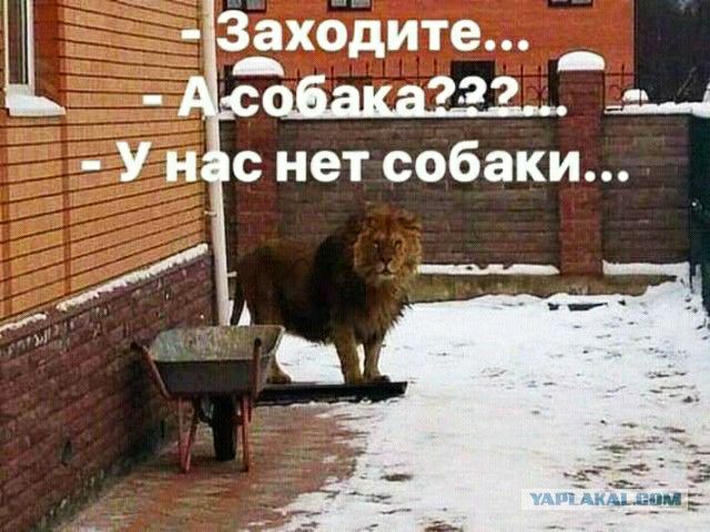 Заходите _ _ 939 _т