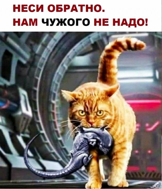 НЕСИ ОБРАТНО НАМ ЧУЖОГО НЕ НАДО