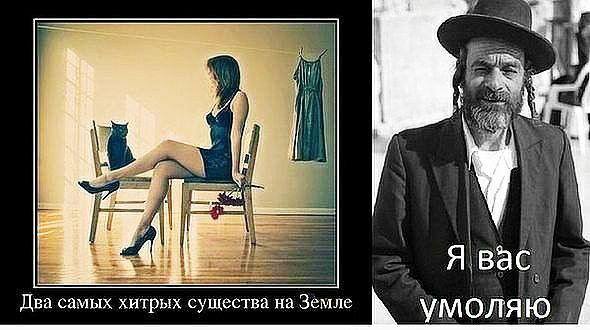 хитрых о цествп н