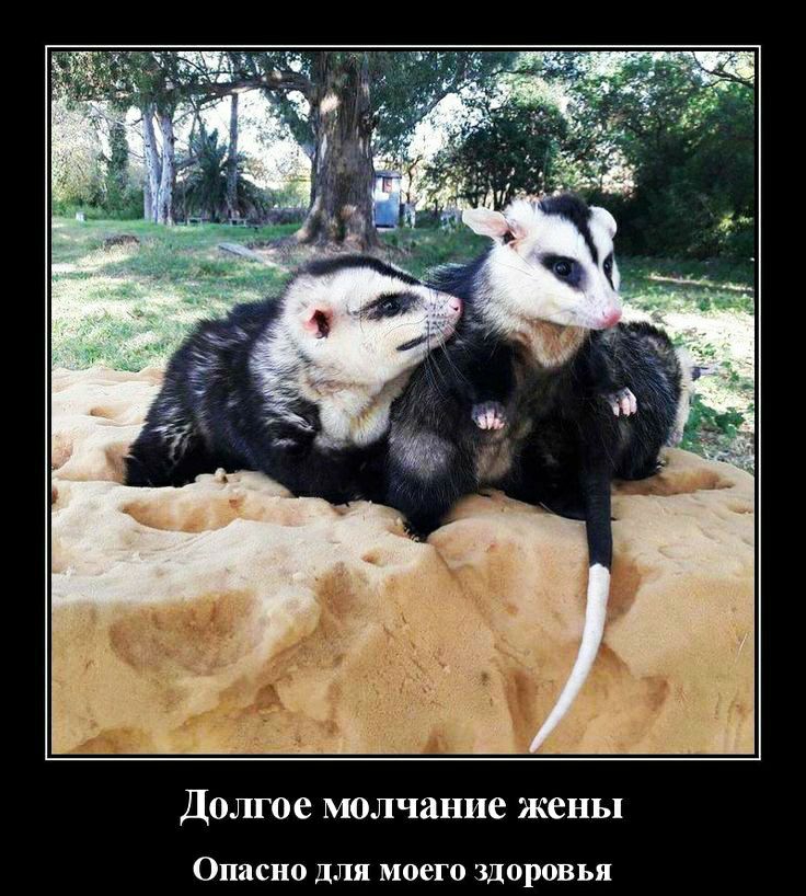 Долгое молчание жены Опасно ДЛЯ МОВГО ЗДОРОВЬЯ