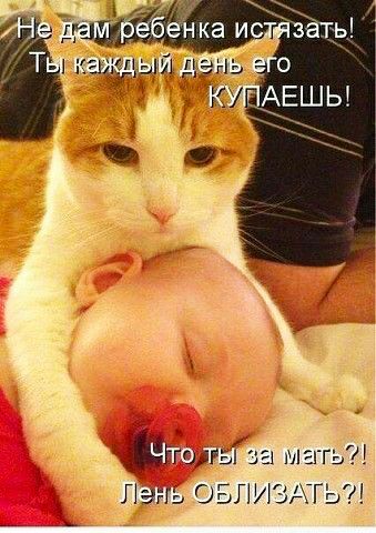 катитз магь 7 Лань ОБГіЮАГЬ
