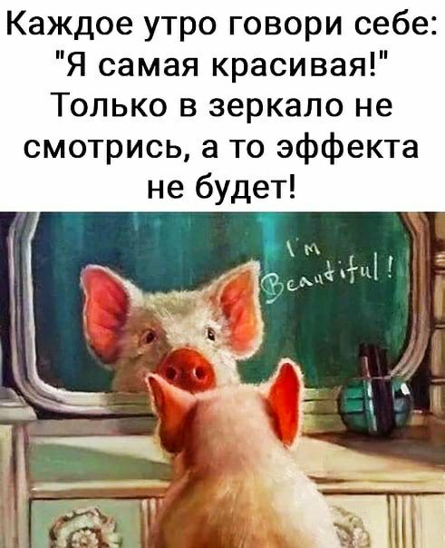 Каждое утро говори себе Я самая красивая Только в зеркало не смотрись а то эффекта не будет