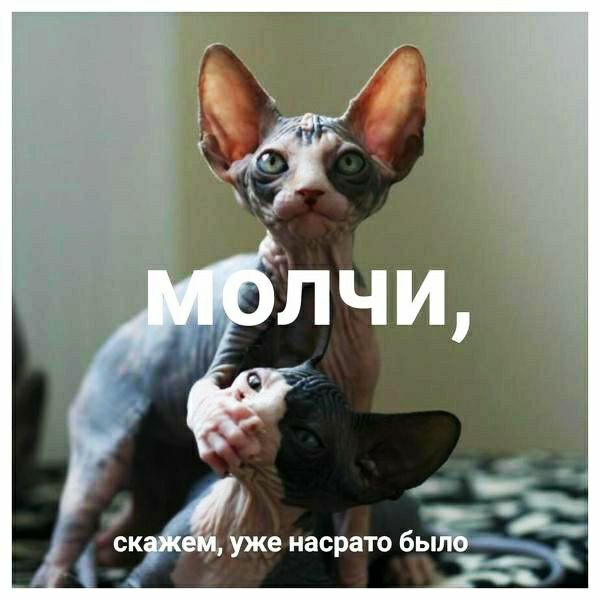 уже насрато