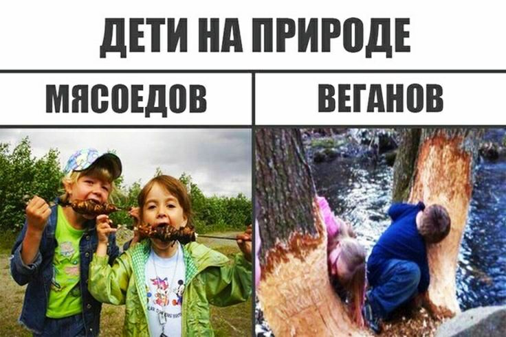 3 МШЮЕДВВ ВПШ ЮВ