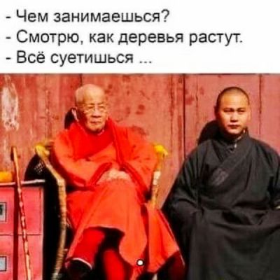 Чем занимаешься Смотрю как деревья расту г Всё суетишься
