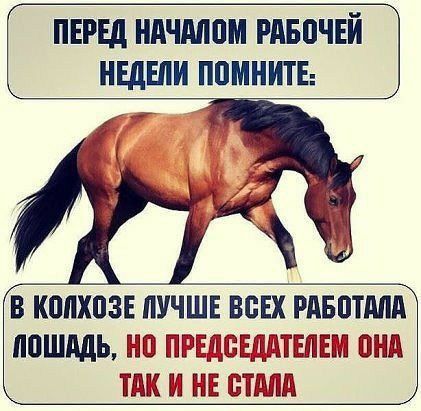 ПЕРЕД НдЧМдМ РАБПЧЕЙ НЕДЕЛИ ППМНИТЕ В КППХПЗЕ ЛУЧШЕ ВСЕХ РАБПТМА ЮШддЬ ЙРЕЁЁЕЯЩТЕИЕЕШ И НЕ ШШЁЙ