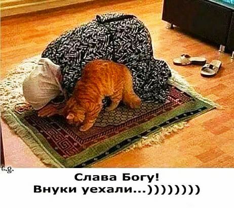 Слава Богу Внуки уехали