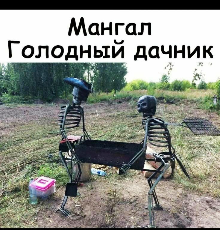 Мангал голоднь:и дачник