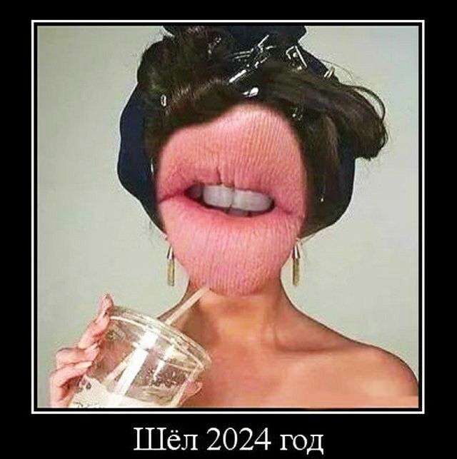 Шёл 2024 год