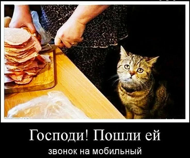 Господи Пошли ей звонок на мобильный