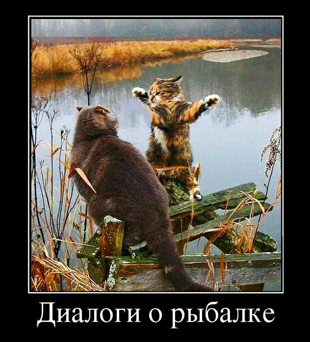 ЕнЕ _ Диалоги о рыбалке
