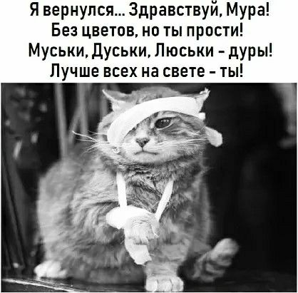 Я вернулся Здравствуи Мура Без цветов на ты прости Муськи дуськи Люськи дУРы Лучше всех на свете ты
