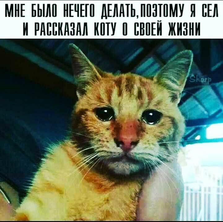 МНЕ БЫИИ ИЕИЕП дЕИИТЬИИЗШМУ И БЕЛ И РМШИИЗИИ ИИТУ ИВИЕИ ЖИЗНИ Ч
