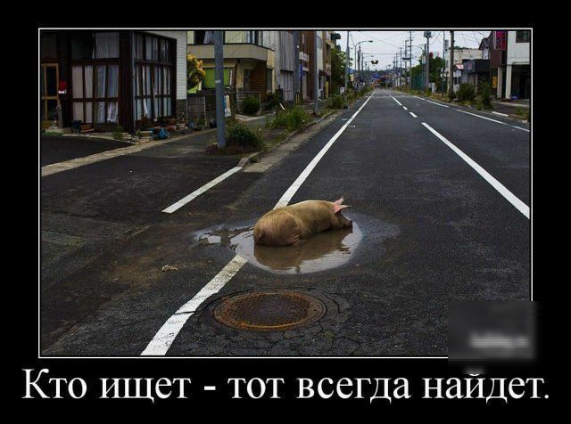 та ЕЧЗТ Кто ищет тот всегда найдет