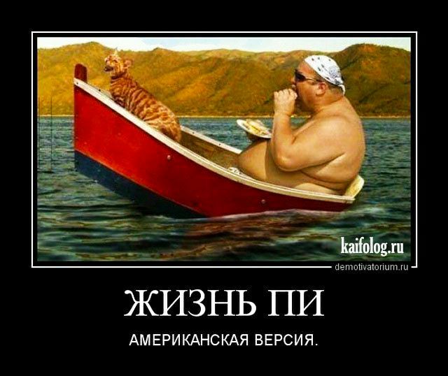 ЖИЗНЬ ПИ АМЕРИКАНСКАЯ ВЕРСИЯ