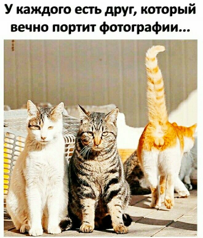 У каждого есть друг который вечно портит фотографии