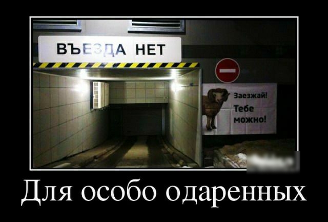 __ __ _ Для особо одаренных