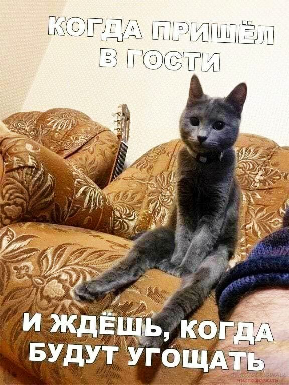 Т ЩЭЮШГШЁДШ