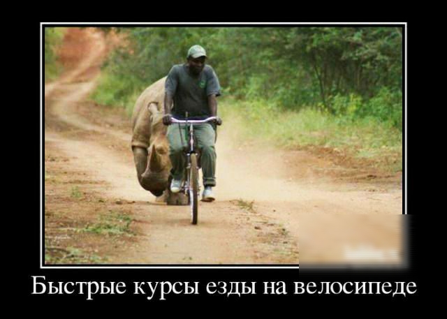 Быстрые КУРСЫ езды на велосипеде