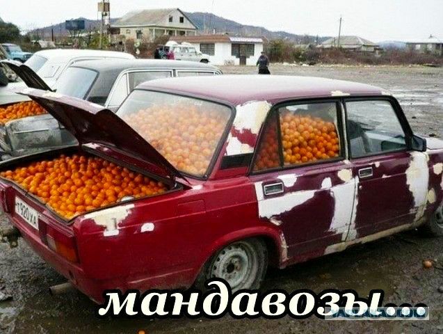 Ё мандйвозььд