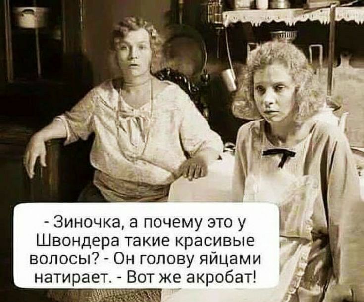 3иночка а почему это у Швондера такие красивые волосы Он голову яйцами натира Вот же акробат