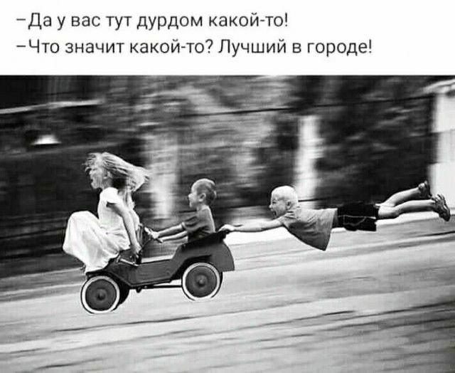 Да у вас тут дурдом какой то Что значит какой то Лучший в городе