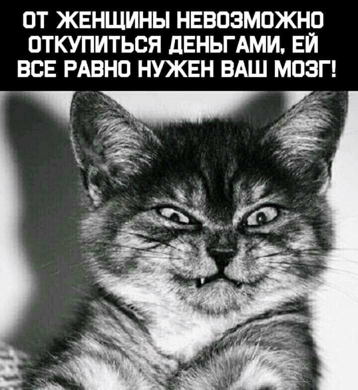 ОТ ЖЕНЩИНЫ НЕВОЗМОЖНО ОТКУПИТЬОЯ дЕНЬГАМИ ЕЙ ВОЕ РАВНО НУЖЕН ВАШ МОЗГ