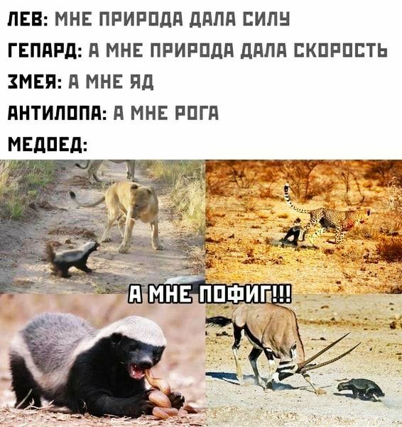 ПЕВ МНЕ ПРИРПдд ддПд ЕИЛН ГЕППРд д МНЕ ПРИРПДП ддПд ЕКПРПЕТЬ ЗМЕЯ д МНЕ Яд дНТИПППд д МНЕ РПГП МЕдПЕд