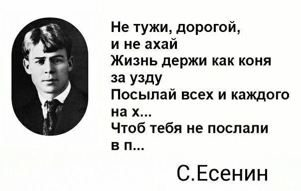 Не тужи дорогой и не ахай Жизнь держи как коня 33 У3дУ Посыпай всех и каждого на х Чтоб тебя не послали в п СЕсенин