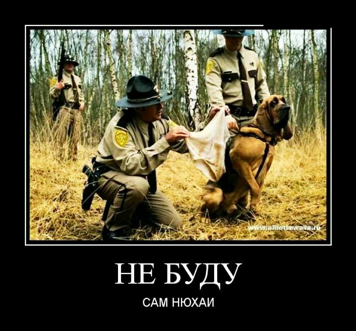 ___Я_ НЕ БУДУ САМ НЮХАИ