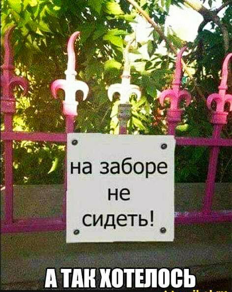 НГСіг на заборе не осидеть _ ППШ ХПТШОВЬ