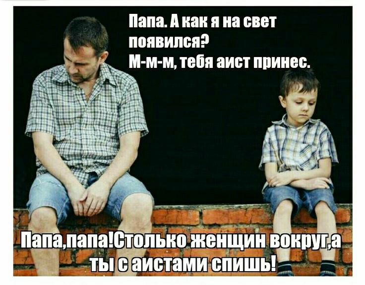 Папа А как я на свет появился м м м тебя аист ппинес папапапаетопьиойвіі1і_ійіі высшая тыгваистами Биты