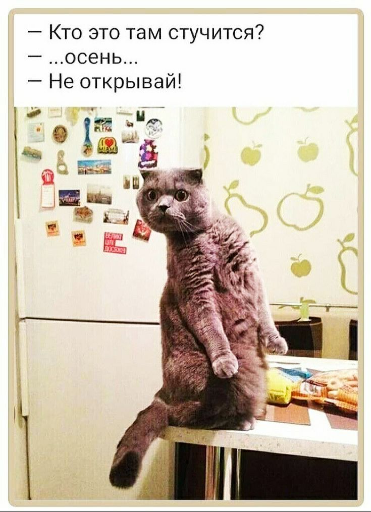 Кто это там стучится осень Не открывай