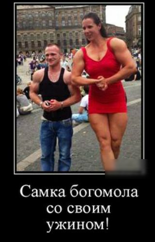 Самка богомола со своим ужином