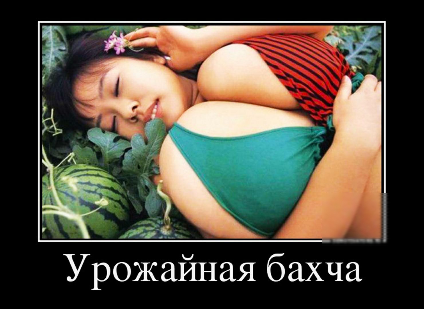 _ Ъ п И Ъ ч ді Урожайная бахча