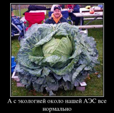 А с экологией около нашей АЭС все НОРМЗЛЬНО