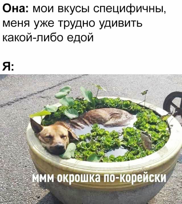 Она мои вкусы специфичны меня уже трудно удивить какойлибо едой