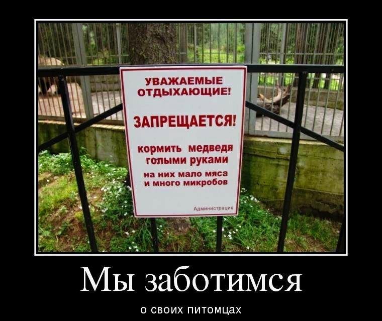 кормить медведя юными руками на них мало мяса и много микробо Мы заботимся О СВОИХ ПИТОМЦЗХ