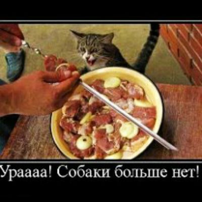 1311 ___ УБаааа Собакі больше нет