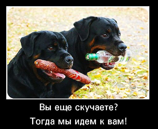Вы еще скучаете Тогда мы идем к вам
