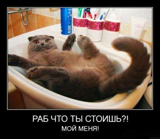 РАБ ЧТО ТЫ СТОИШЬ мой МЕНЯ