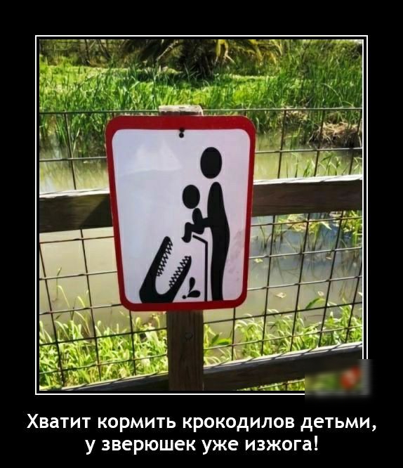 Хватит кормить крокодилов детьми у зверюшек уже изжога