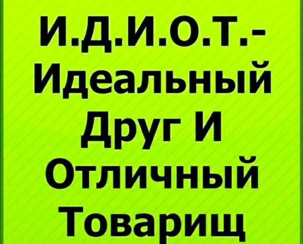 ндиот Идеальный друг И Отличный Товарищ